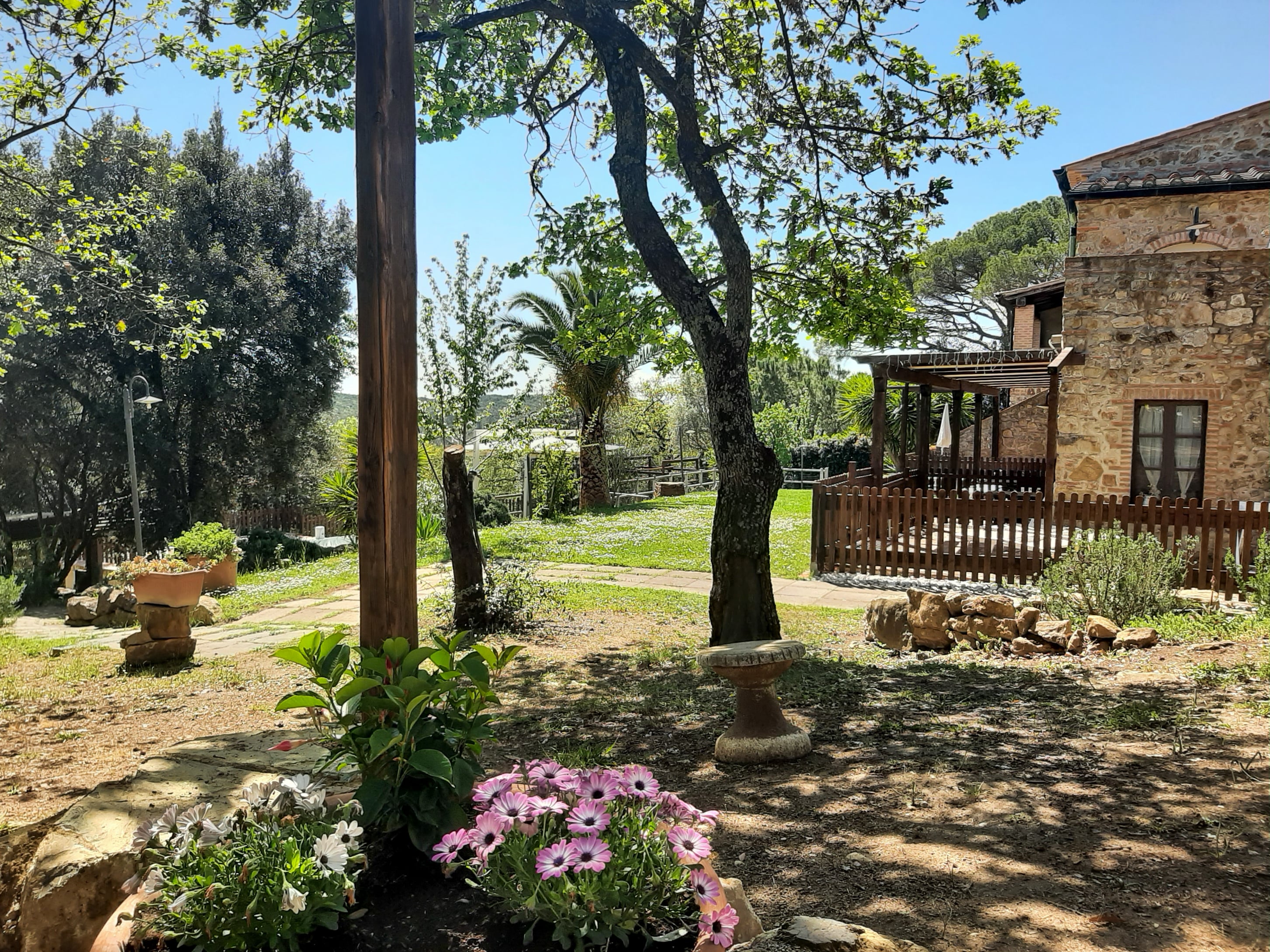 Agriturismo e Glamping Serraiola Alta - giardino