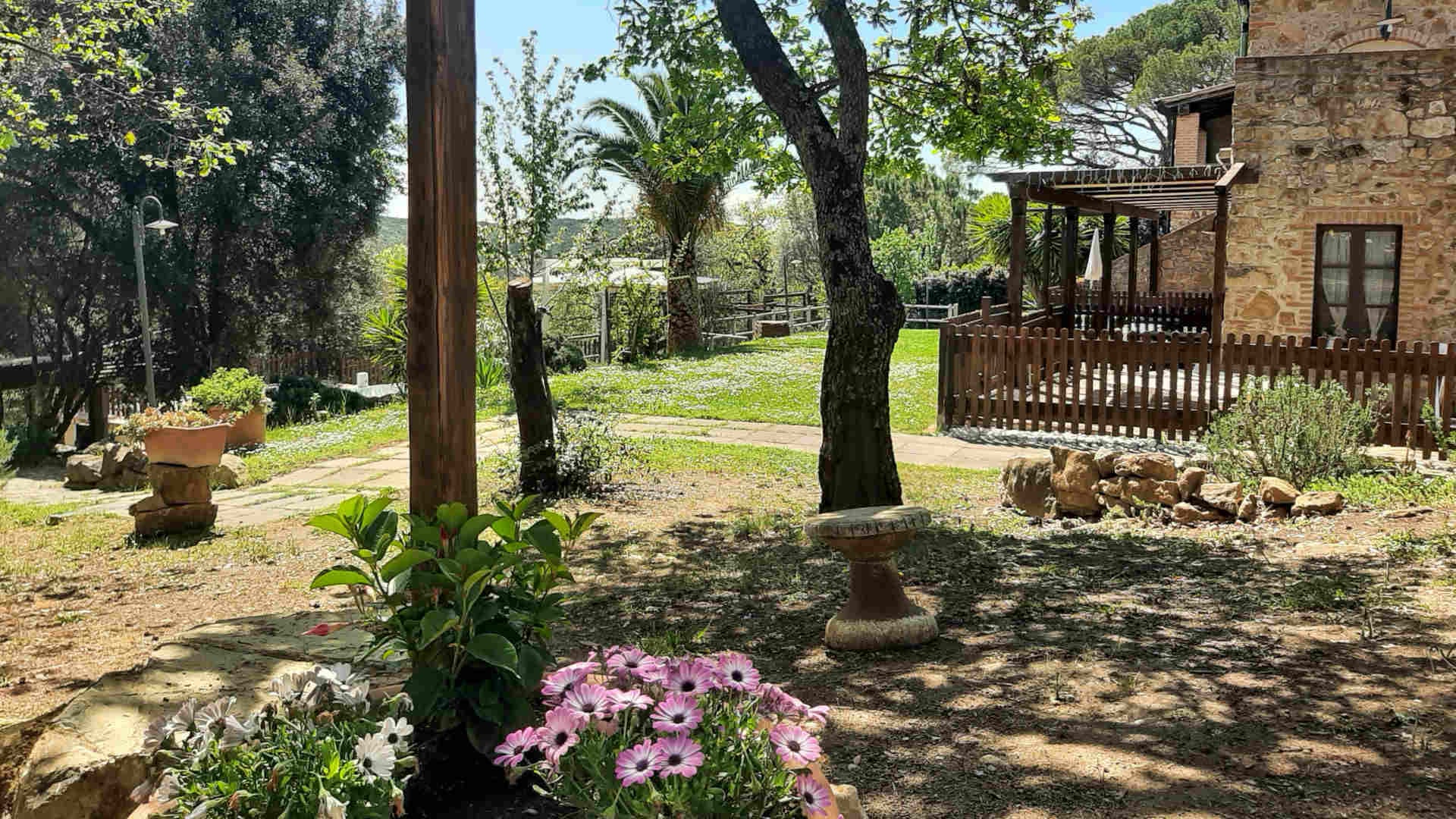 Agriturismo & Glamping Serraiola Alta - Esterni