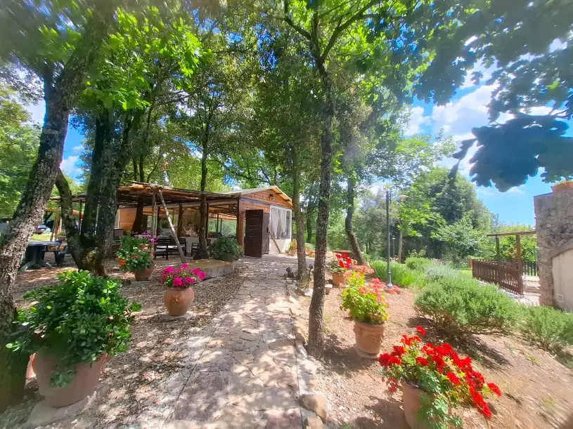 Agriturismo & Glamping Serraiola Alta - Estate in Toscana